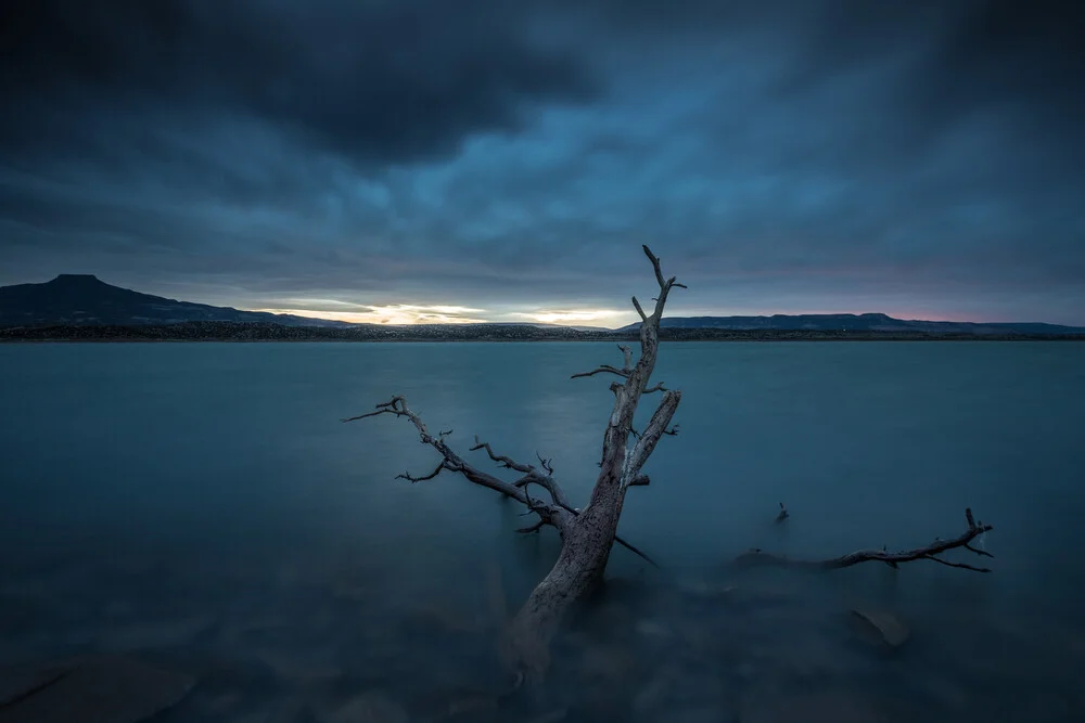 Deadwood Fingers - fotokunst von Sebastian Worm