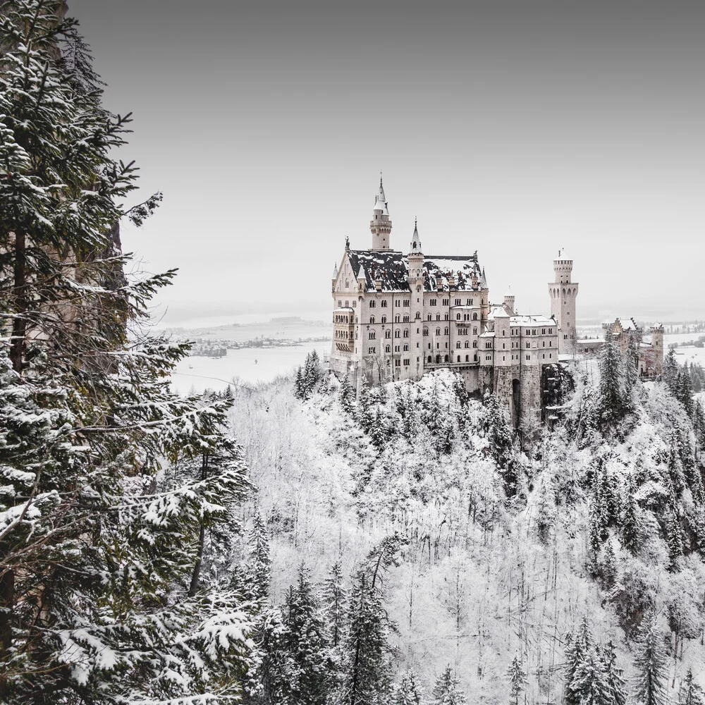 Schloss Neuschwanstein - fotokunst von Ronny Behnert