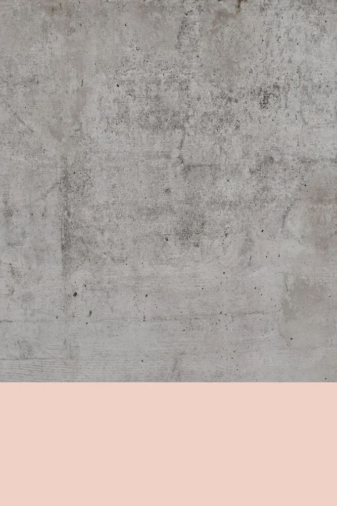 Pink on Concrete - Fineart photography by Emanuela Carratoni