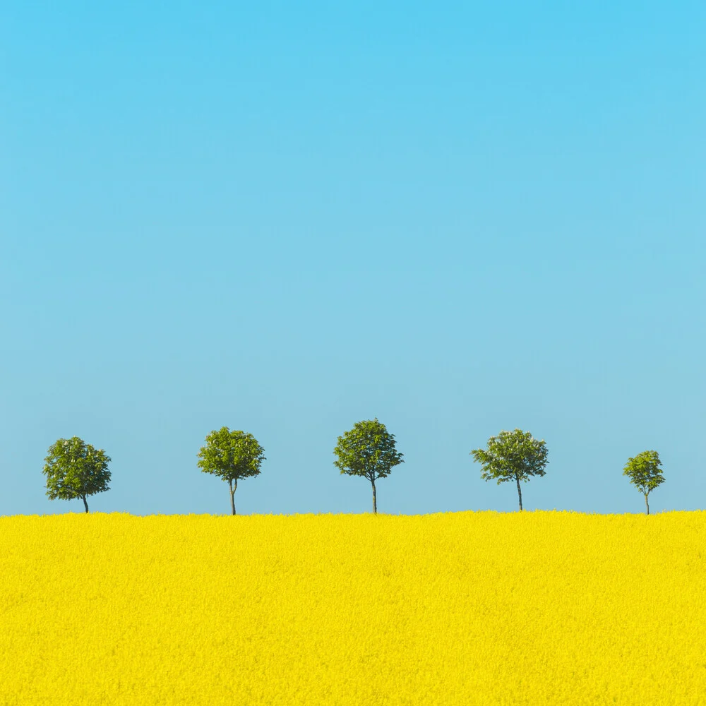 Spring - fotokunst von Holger Nimtz