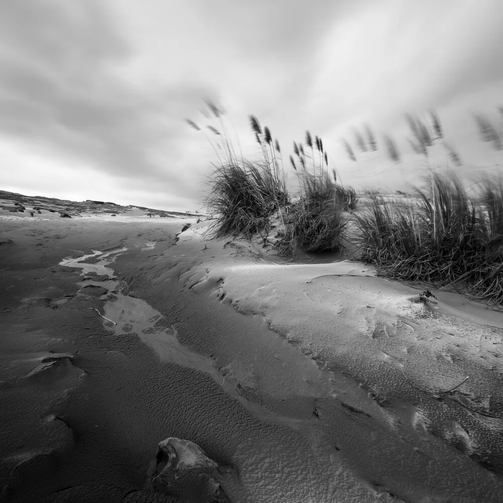 TE PAKI SAND DUNES - Fineart photography by Christian Janik