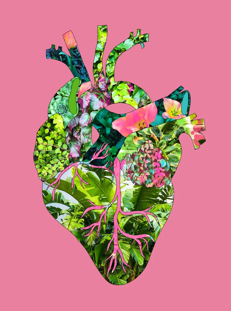 Mein Botanisches Herz Pink - fotokunst von Bianca Green