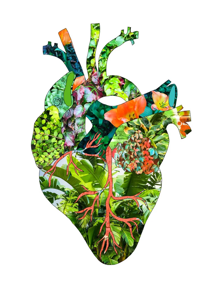 Mein Botanisches Herz - fotokunst von Bianca Green