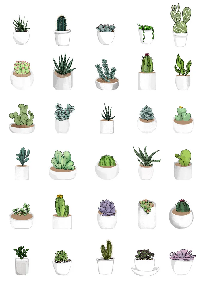 Succulents - fotokunst von Katherine Blower