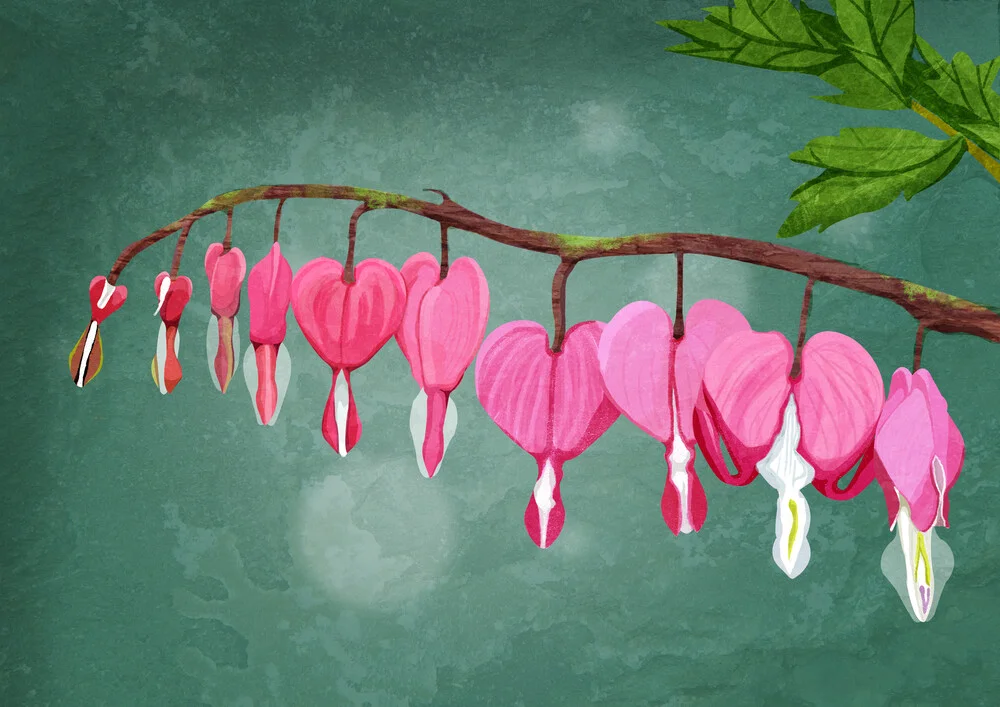 Bleeding Heart - fotokunst von Katherine Blower