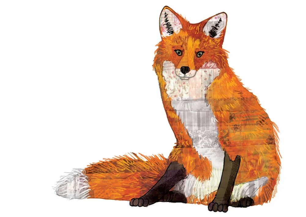 Patchwork Fox - fotokunst von Katherine Blower