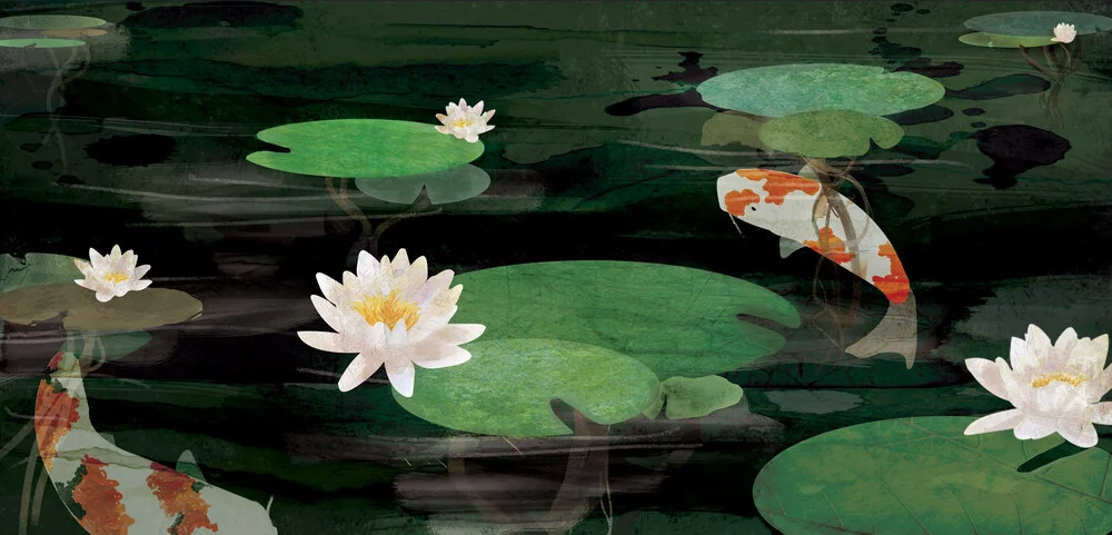 Koi Pond - fotokunst von Katherine Blower