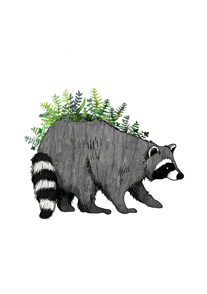 Racoon - fotokunst von Katherine Blower