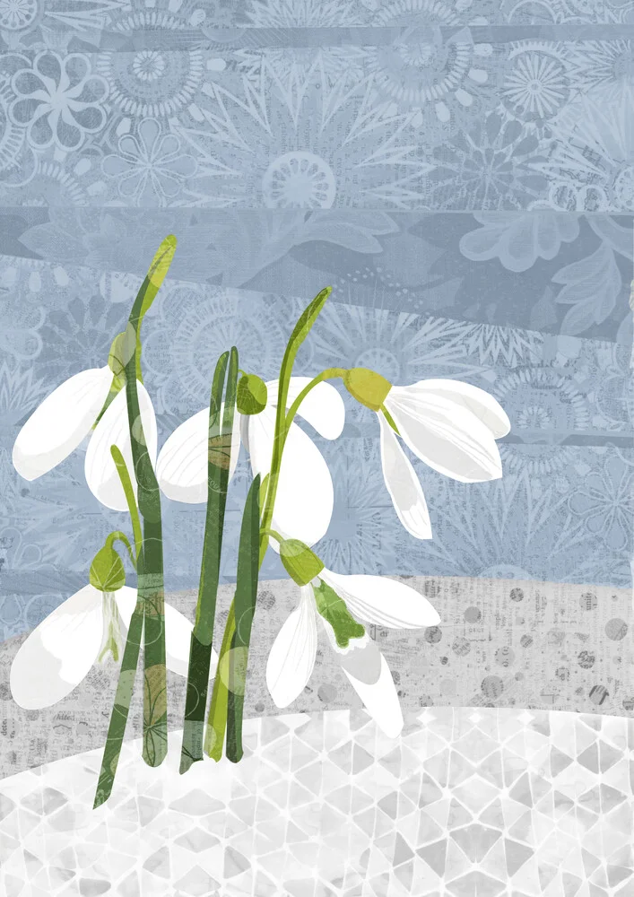 Snowdrop - Fineart photography by Katherine Blower