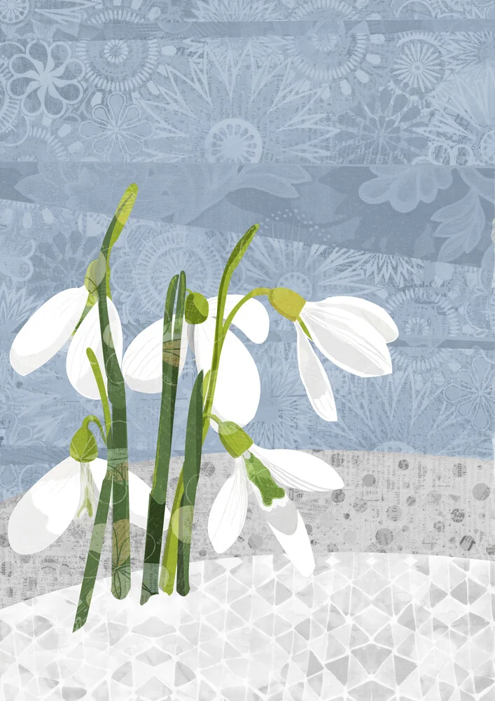 Snowdrop - fotokunst von Katherine Blower