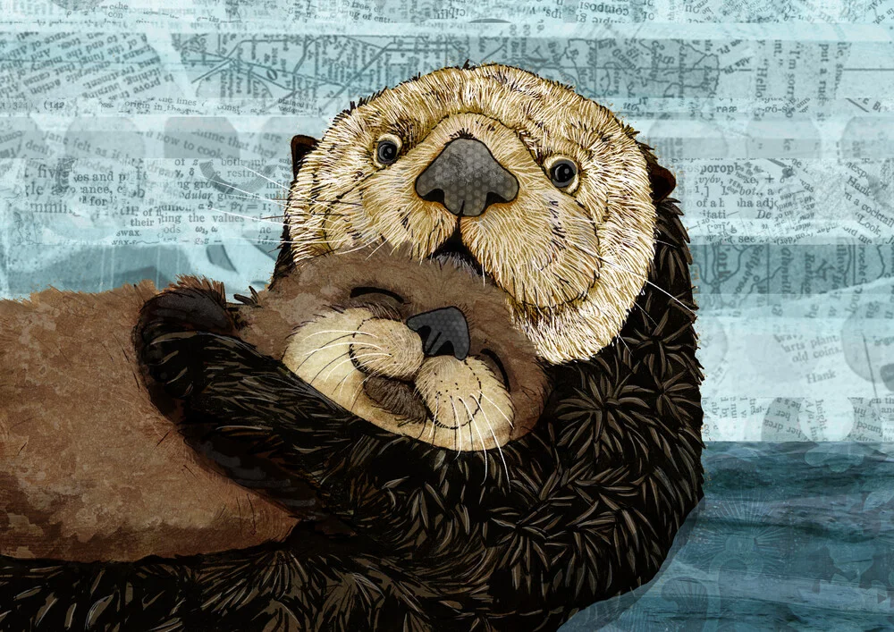 Sea Otter Family - fotokunst von Katherine Blower