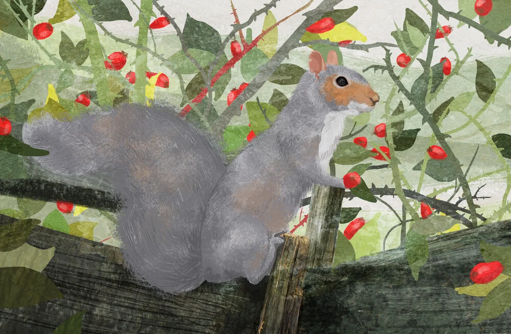 Grey Squirrel - fotokunst von Katherine Blower