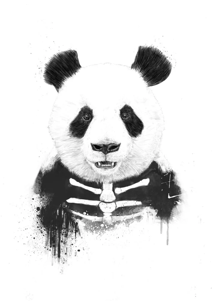 Zombie panda - Fineart photography by Balazs Solti