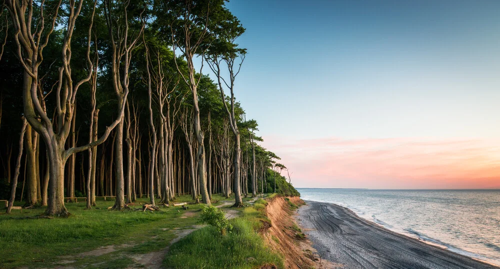 Coastal Forest IV - Fineart photography by Heiko Gerlicher