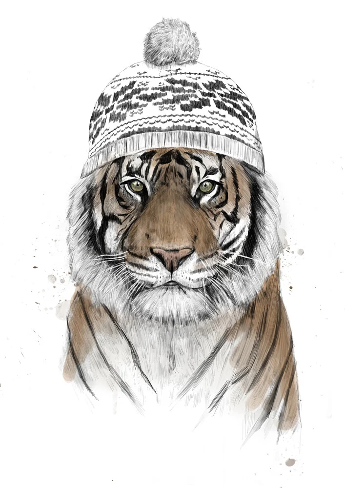 Siberian tiger - fotokunst von Balazs Solti