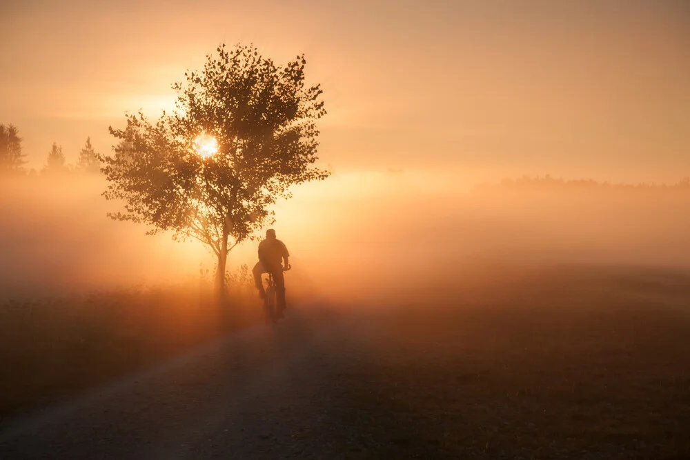 floating into the day - Fineart photography by Roswitha Schleicher-Schwarz