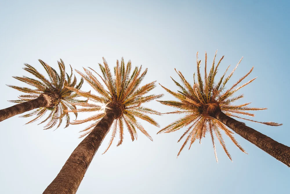 Unter Palmen - fotokunst von Andi Weiland