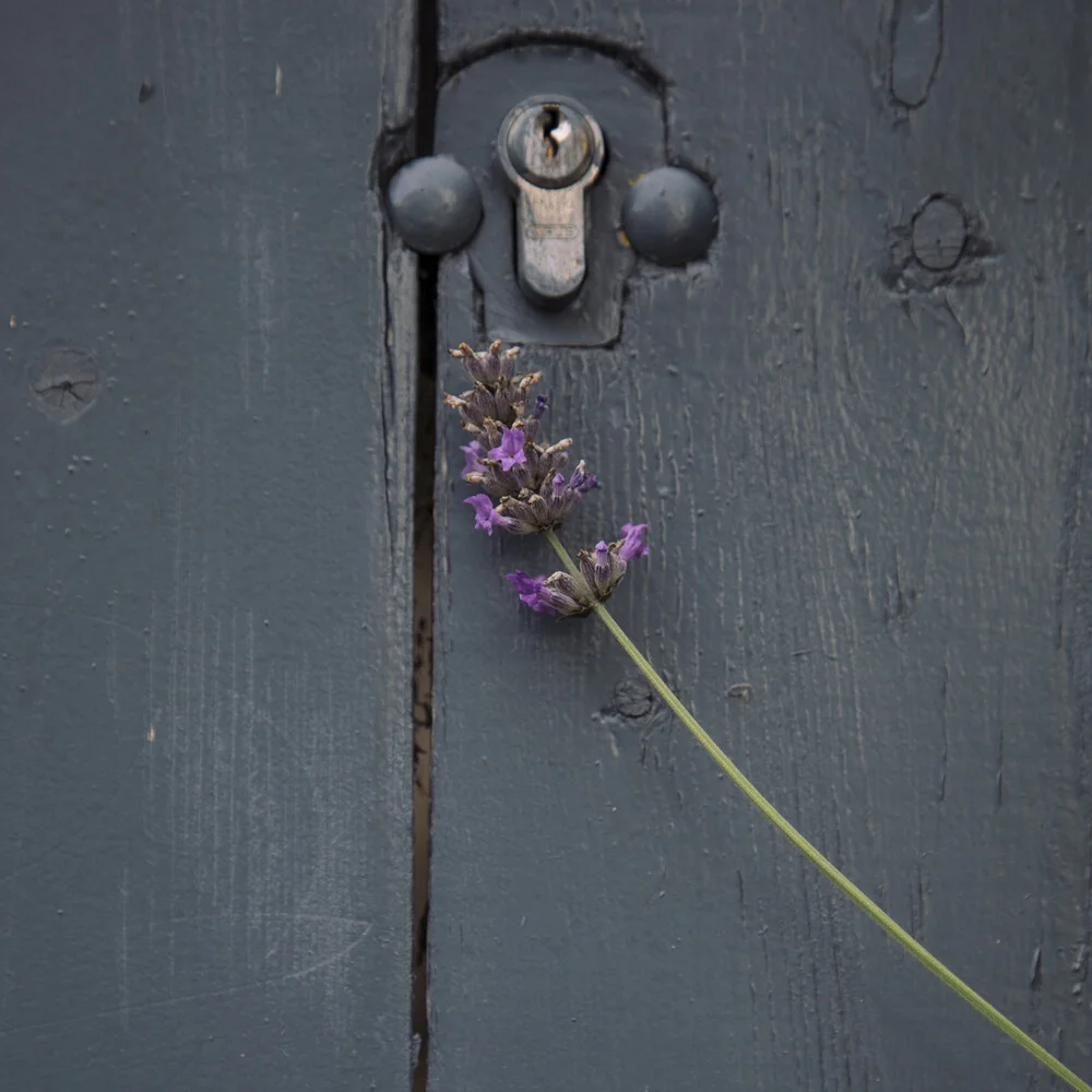 Lavender blossom and blue door - Fineart photography by Nadja Jacke