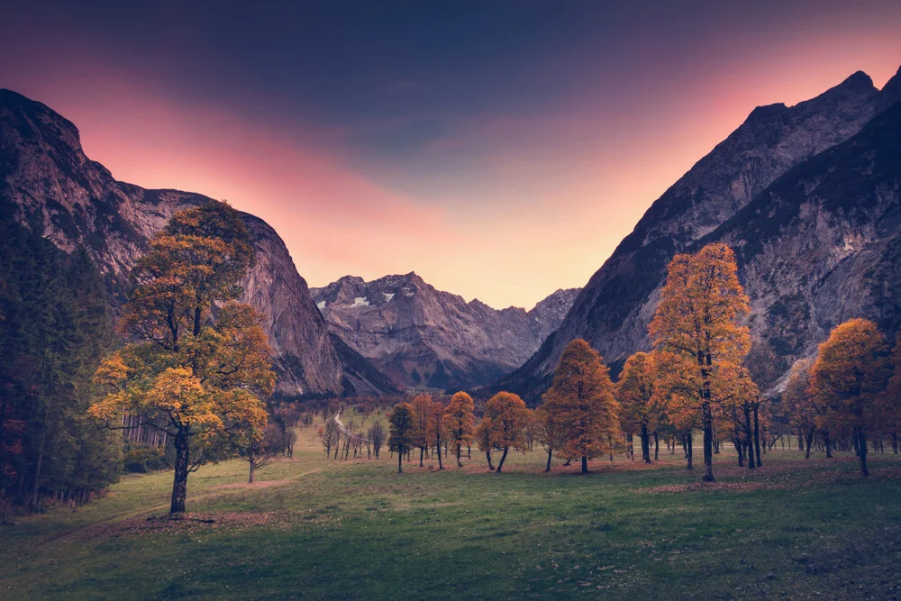 Great maple tree area with a fantastic red sky - Fineart photography by Franz Sussbauer