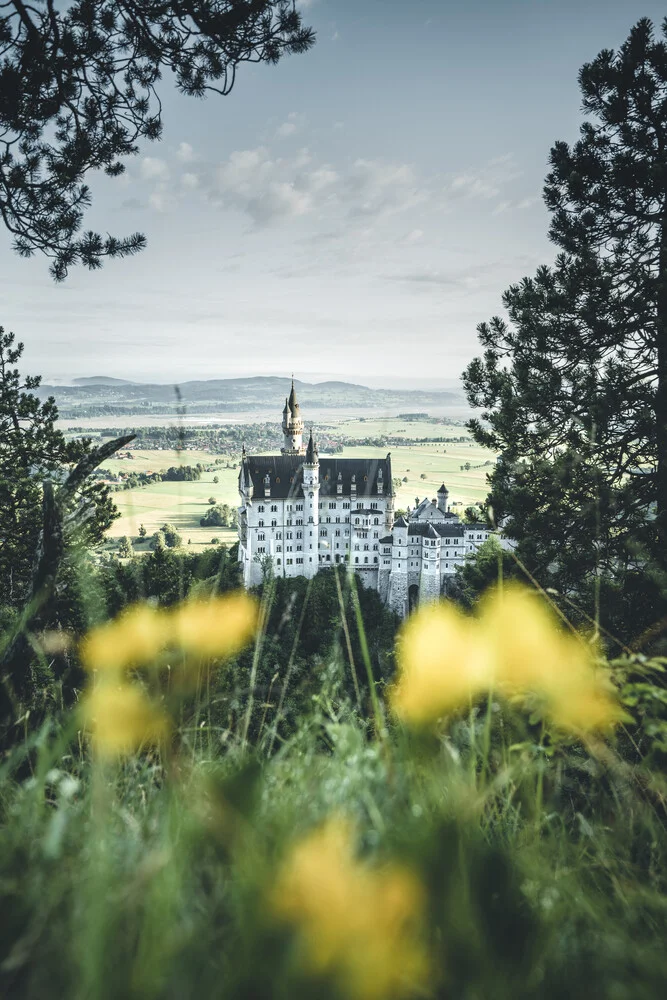 Neuschwanstein Castle - fotokunst von Philipp Steiger