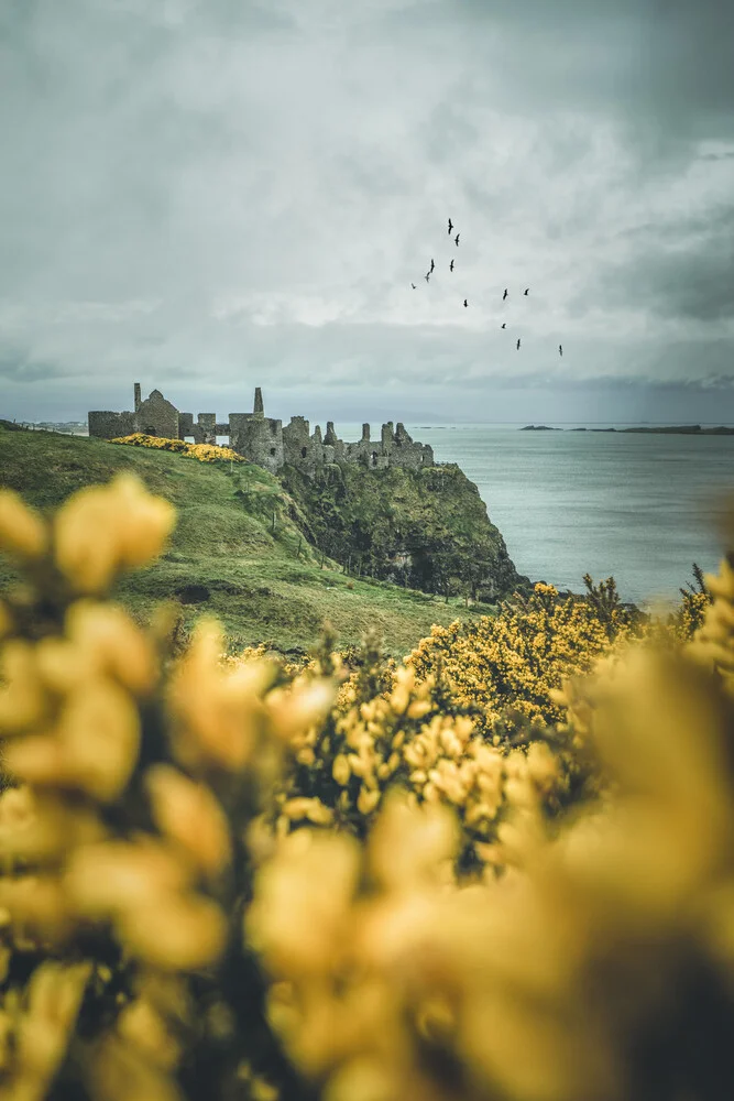 Dunluce Castle - fotokunst von Philipp Steiger