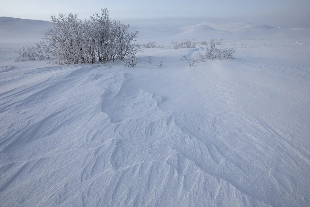 Winterliche Strukturen - fotokunst von Dirk Heckmann