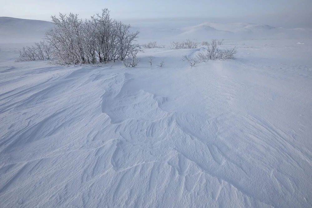 Wintery structures - Fineart photography by Dirk Heckmann