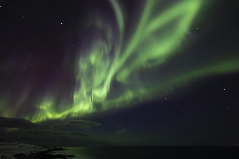 Intensives Polarlicht über den Lofoten - fotokunst von Dirk Heckmann