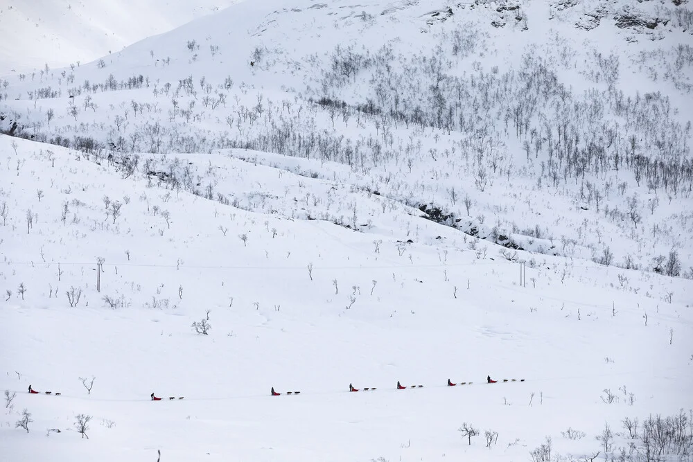 Hundeschlitten-Tour in Nordnorwegen - fotokunst von Dirk Heckmann