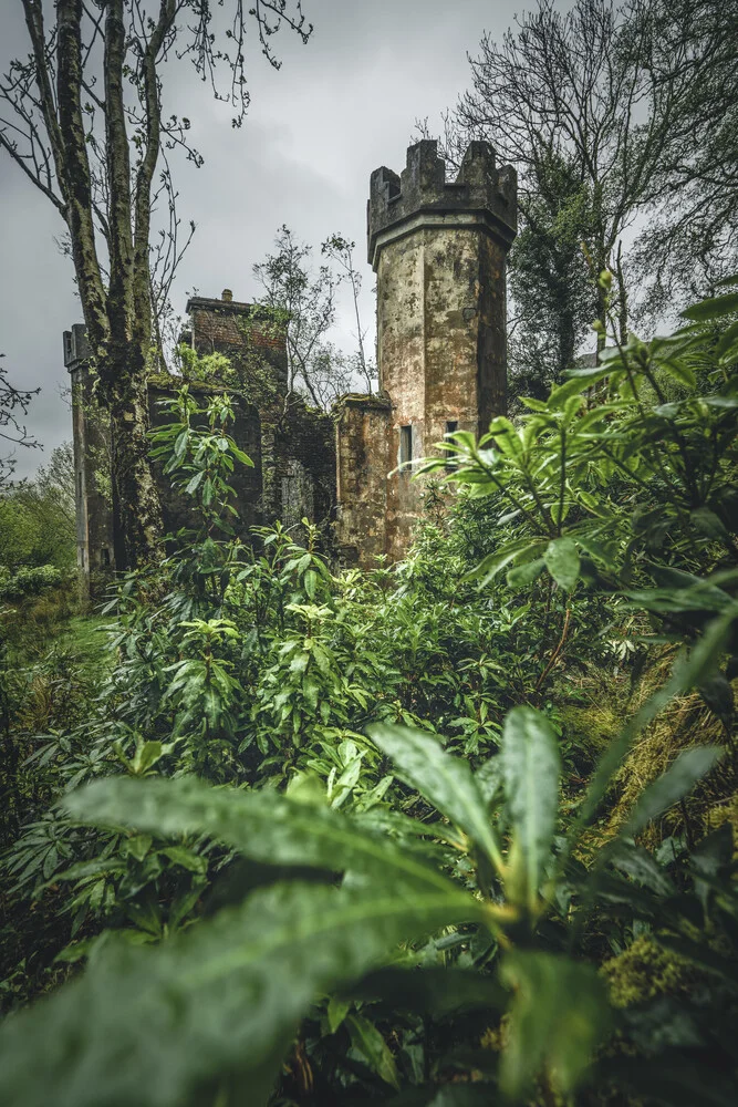 Sleeping Beauty - fotokunst von Philipp Steiger