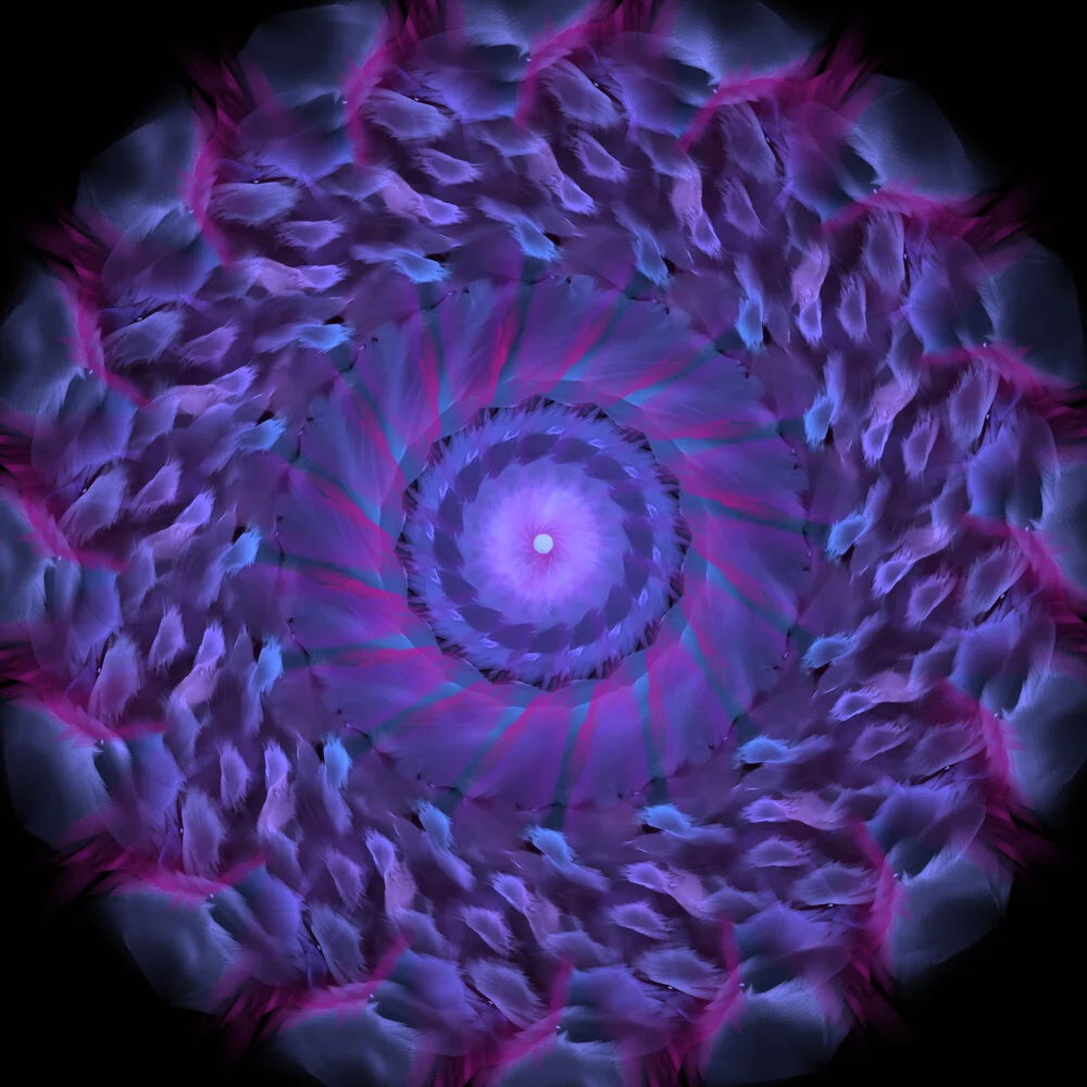 black and purple mandala - Fineart photography by Nadja Jacke