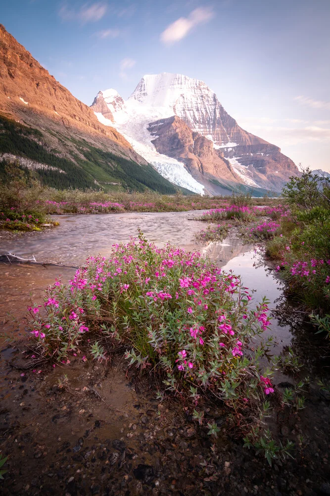 mount robson - fotokunst von Christoph Schaarschmidt