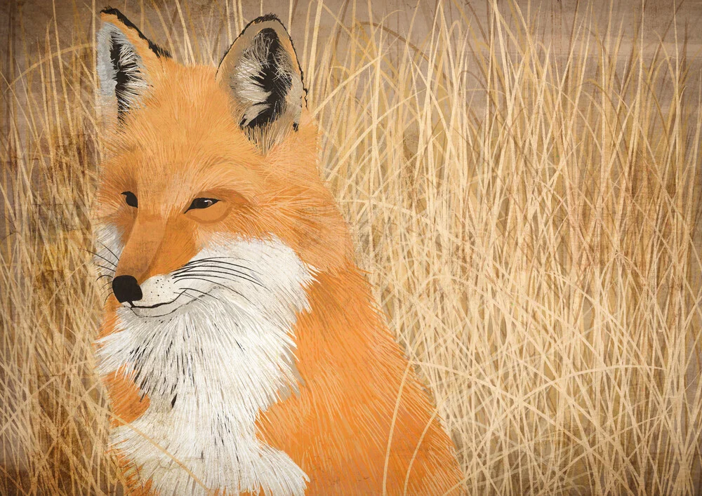 fox - fotokunst von Katherine Blower
