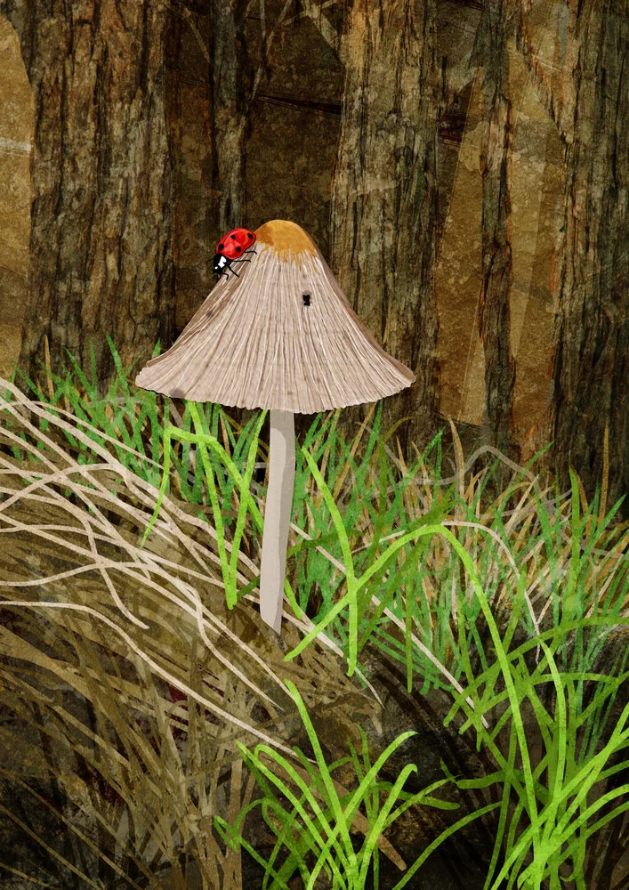 Mushroom - fotokunst von Katherine Blower