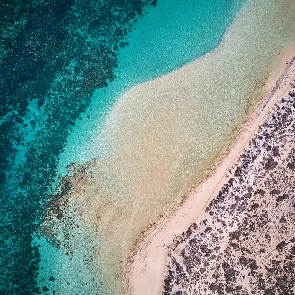 The Wave - Coral Bay (square) - fotokunst von Sandflypictures - Thomas Enzler