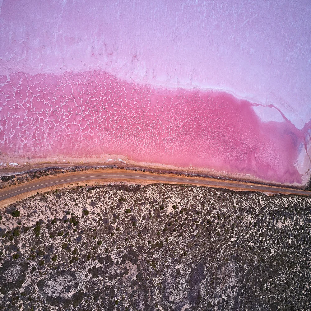 Pink Lake - fotokunst von Sandflypictures - Thomas Enzler