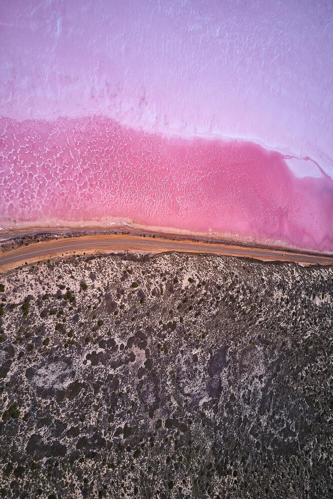 Pink Lake - fotokunst von Sandflypictures - Thomas Enzler