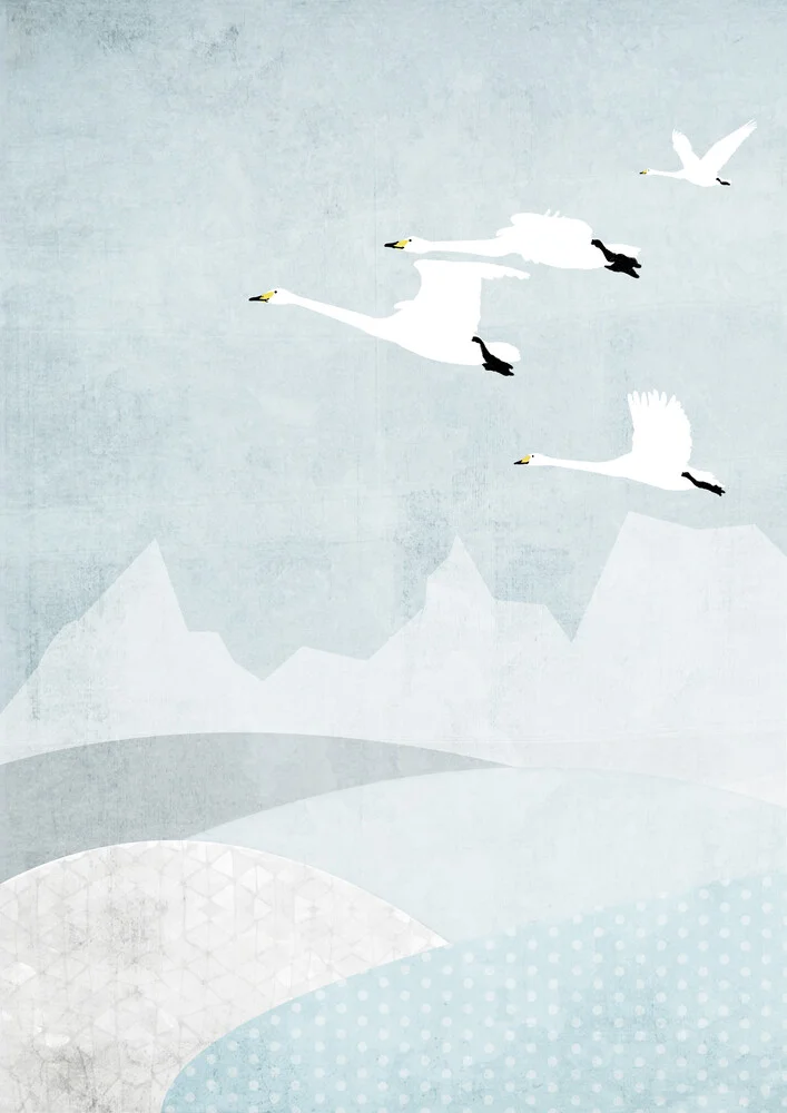 Whooper Swans - fotokunst von Katherine Blower