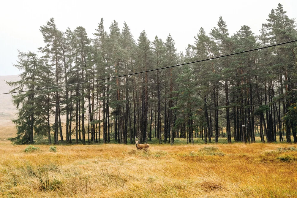 Power, Scotland (2017) - fotokunst von Franziska Söhner