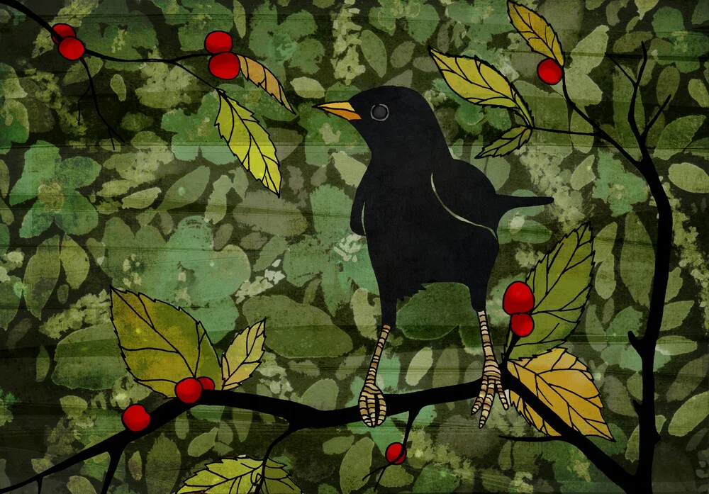 Blackbird - Fineart photography by Katherine Blower