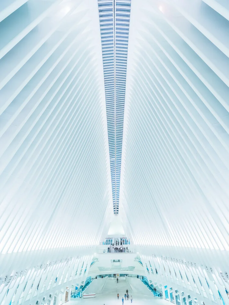 Oculus NYC - Fineart photography by Dimitri Luft