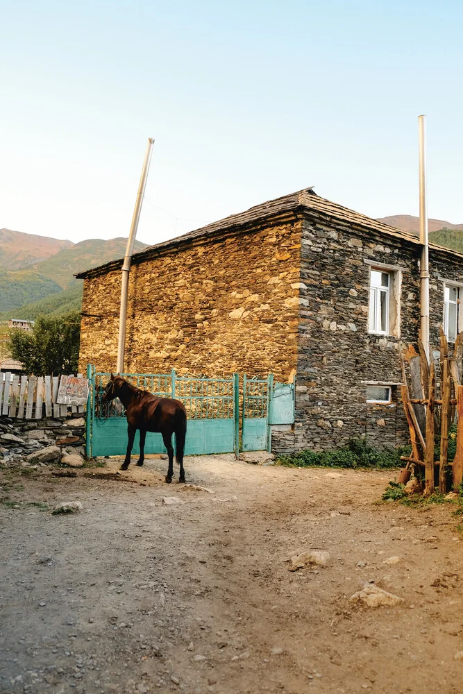 Horse, Georgia (2017) - Fineart photography by Franziska Söhner