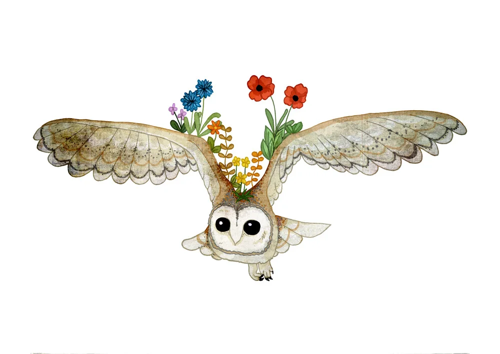 Barn Owl Spirit Guide - fotokunst von Katherine Blower