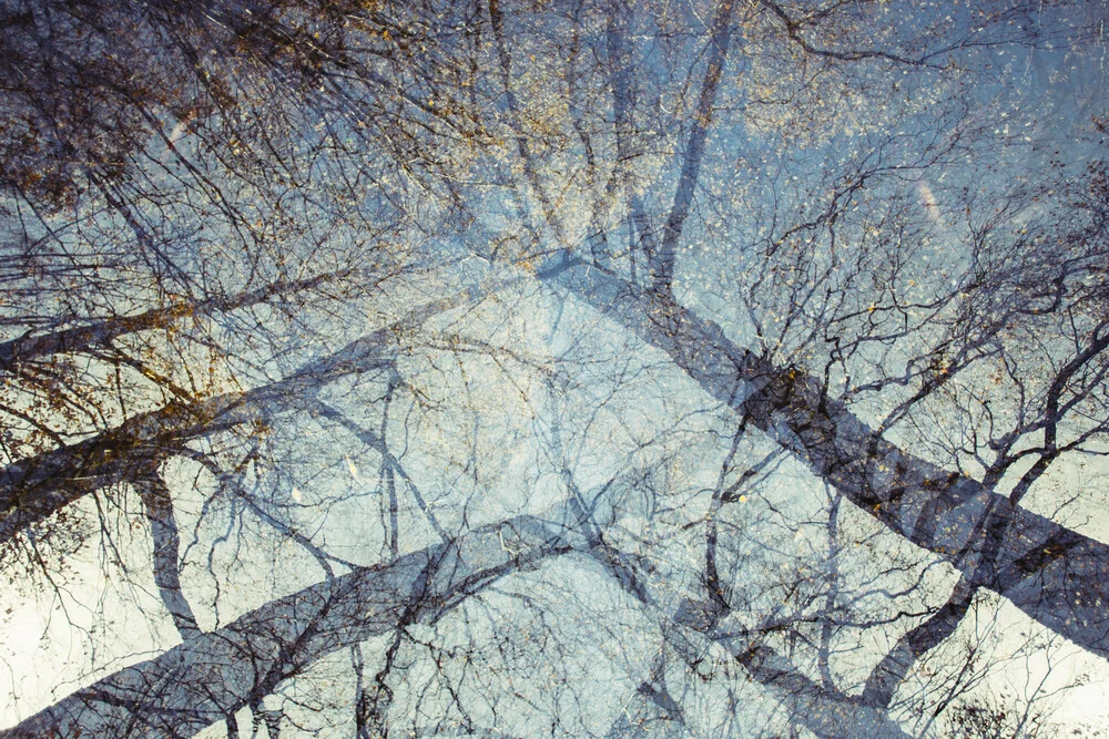 Herbsthimmel Doppel - fotokunst von Nadja Jacke