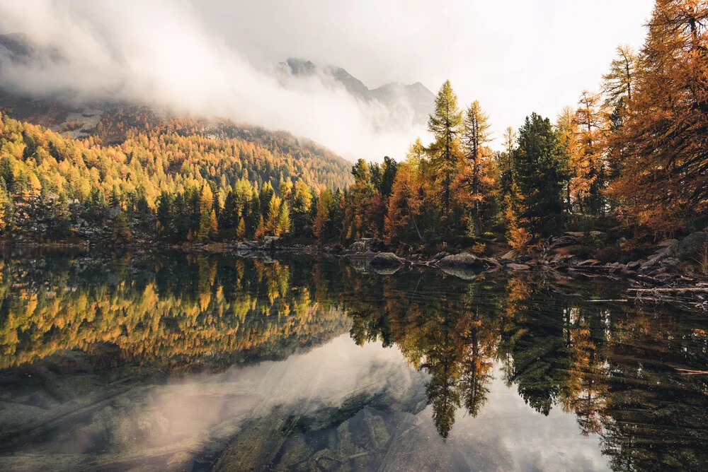 Color explosion at Lago di Saoseo - Fineart photography by Niels Oberson