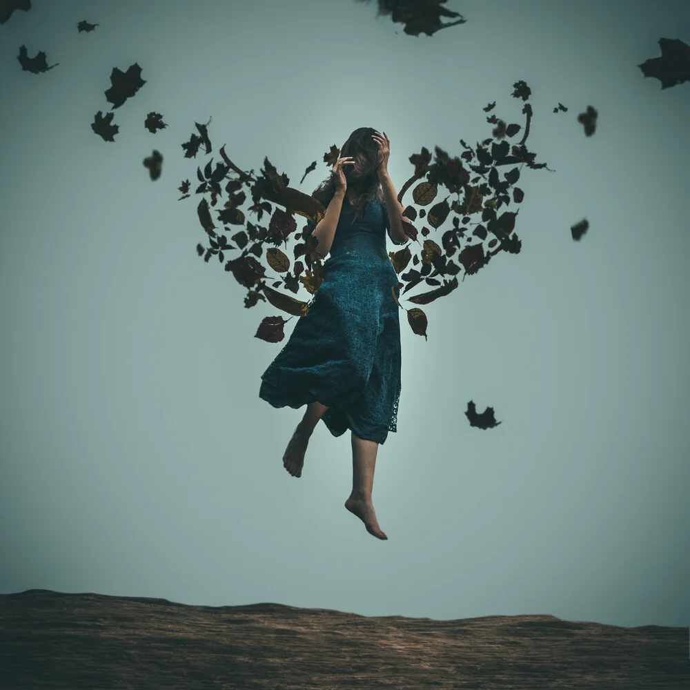 Autumn wings - fotokunst von Rova Fineart - Simone Betz