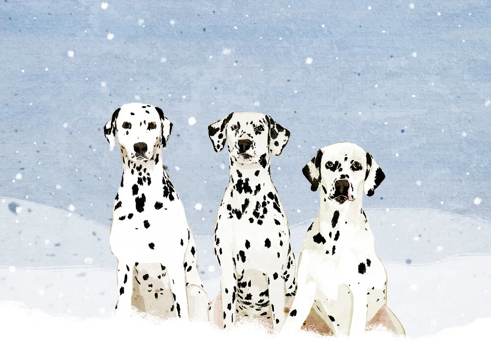 Dalmatians - Fineart photography by Katherine Blower