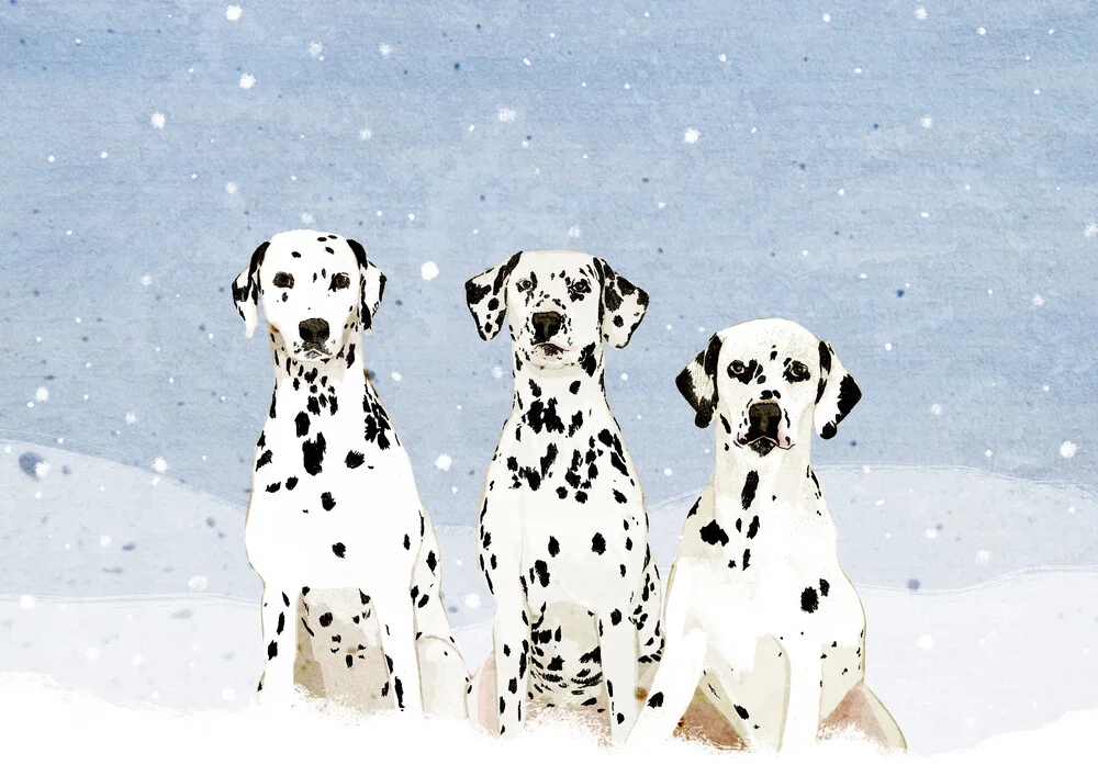 Dalmatians - fotokunst von Katherine Blower