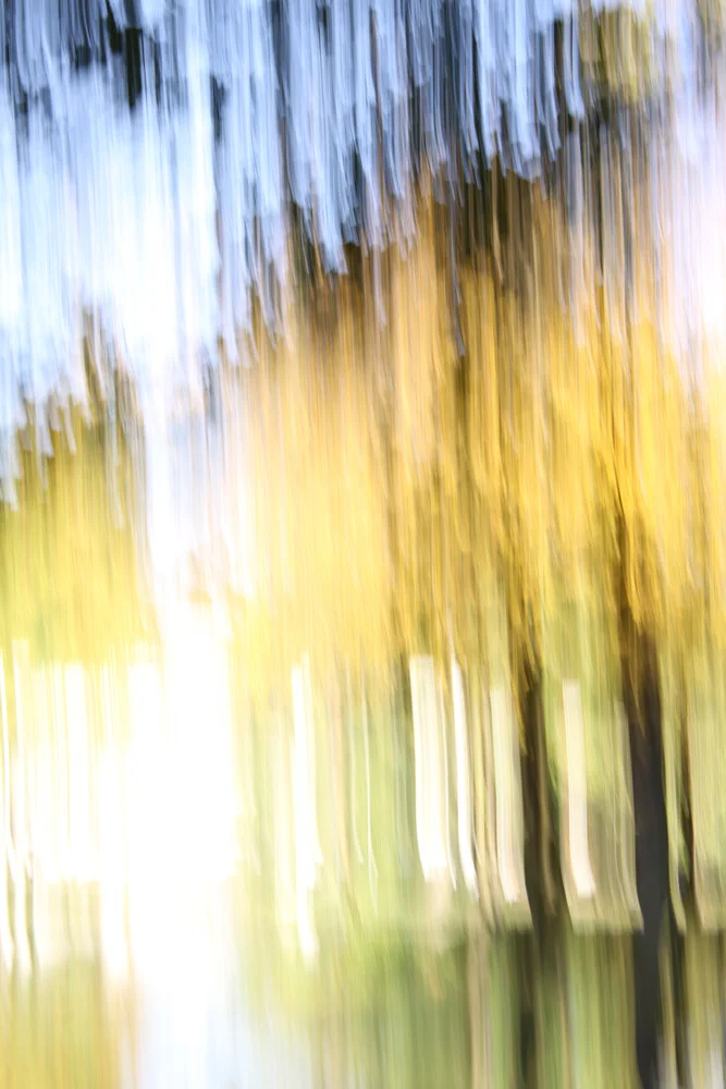 autumn abstract #12 - fotokunst von Steffi Louis