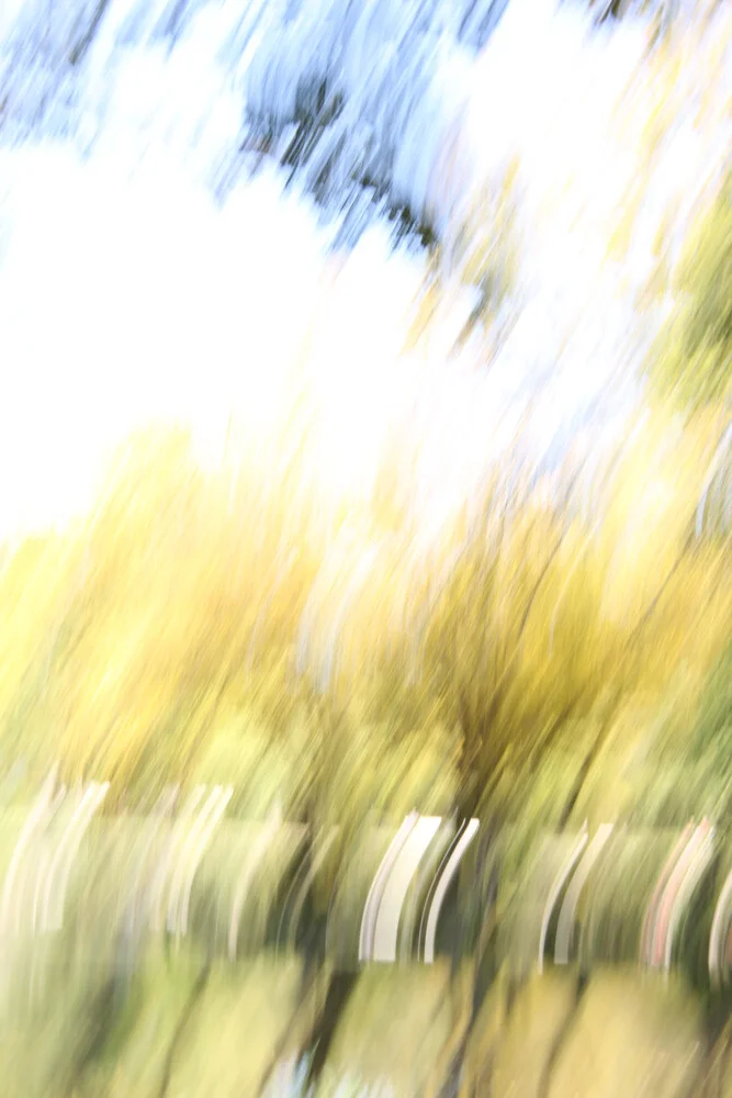 autumn abstract #11 - fotokunst von Steffi Louis